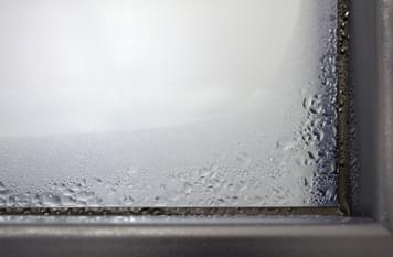 Don't Let Condensation Ruin Your Christmas